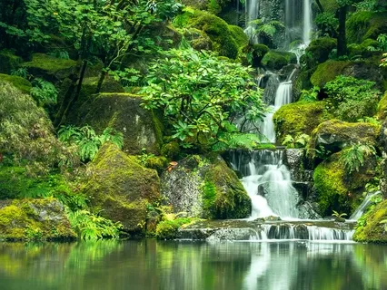 Ignatian Contemplation