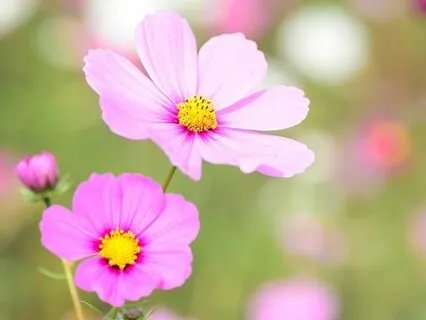 Ignite Your Creative Spark : Time-Friendly Affirmations