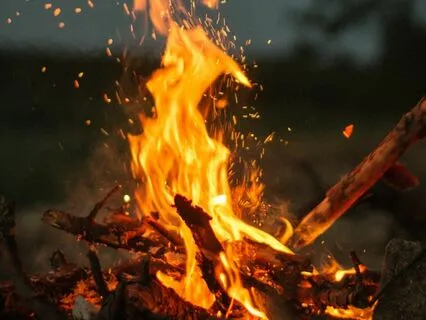 Ignite Your Digestion: A Meditation To Boost Gut Health