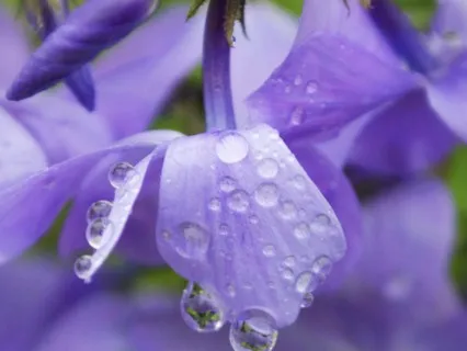 Ignite Your Independence