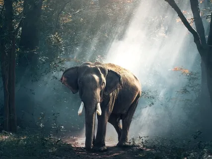 Ignite Your Inner Power