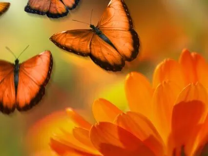 Ignite Your Spark: A Prayer For Bold Confidence