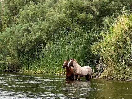 Igniting Joy Through Heartfelt Awakening