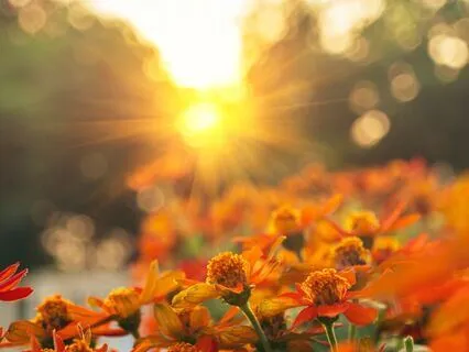 Igniting Your Day: Morning Clarity & Motivation