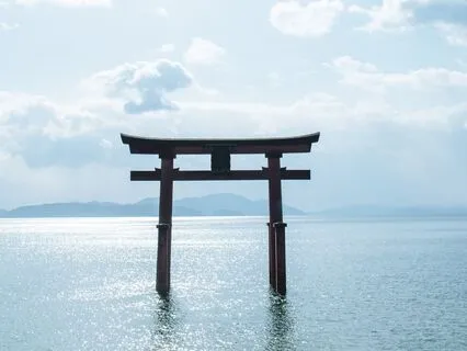 Ikigai: The Harmony Within