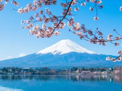 Ikigai - Who Would You Like To Be?