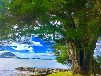 I'll Find You In The Silence - Meditative Piano