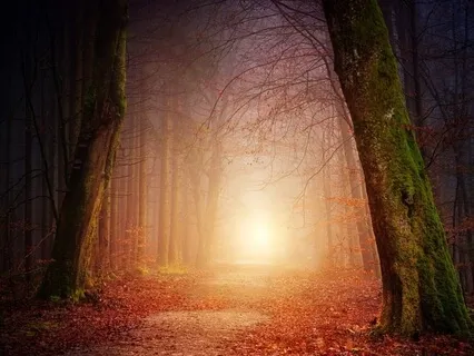 10 Minute Peaceful Music For Sleep And Relaxation