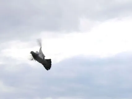 Illumination At The Crossroads: Aries Full Moon October 6th