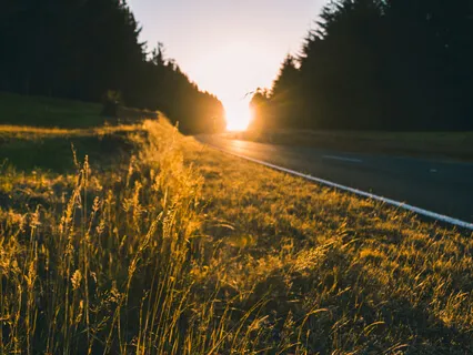 Illumination Talk & Meditation