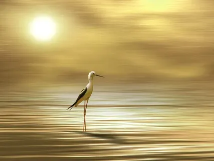 Illusions Of Grandeur 