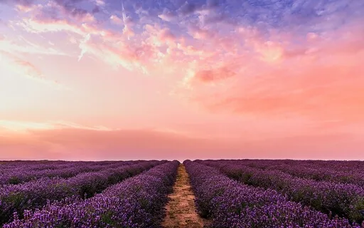 I'm In The Process Of Loving