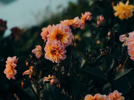 I'm Not Crazy! I'm Committed: A Closer Walk With God