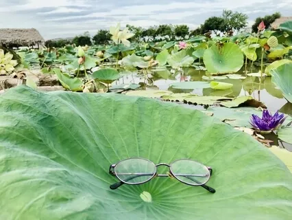 I'm Not Dreaming At All. Today Is Really A Beautiful Day