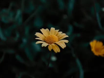 I'm Not Supposed To Have The Life I Have