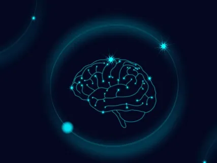 Imagery Developed Specifically for Martial Artists & Cage Fighters