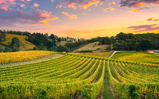 Imagination Meditation - Countryside Sunset