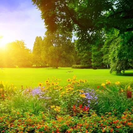 Imagination Meditation - Into The Garden