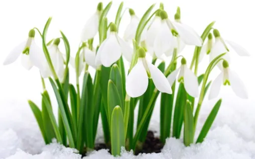 Imagination Meditation: Winter Melts Into Spring