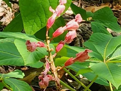 Imagination Practice - Imagine Humility