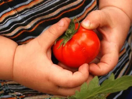 Imaginative Nutritious Garden To Encourage Mindful Eating