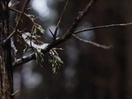 Imaginative Prayer: In The Garden