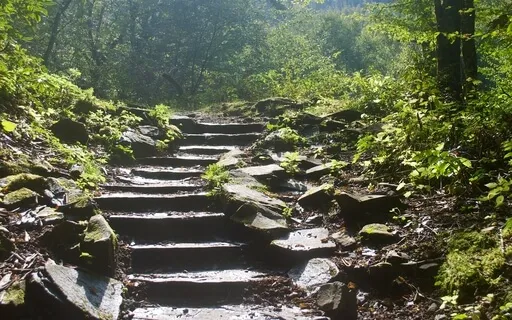 Imaginative Prayer -- The Magi