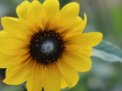 Imagine A Beautiful Life