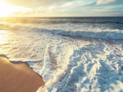 Imagine Abundance Into Being