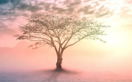 Imagine With Intelligence