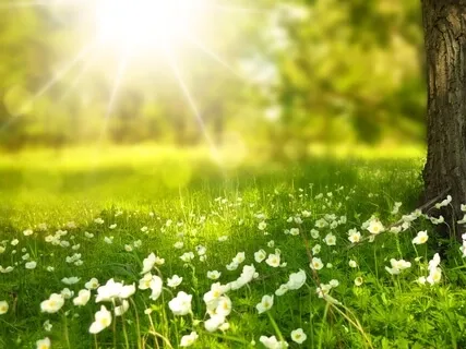 Imagine Your Day - A Morning Healing