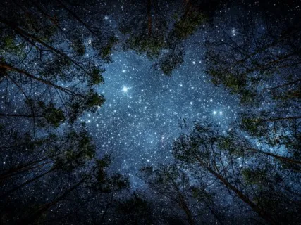 Imagining The Light: Connecting With The Universe