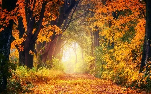 Imagining Your Future Guided Visualisation