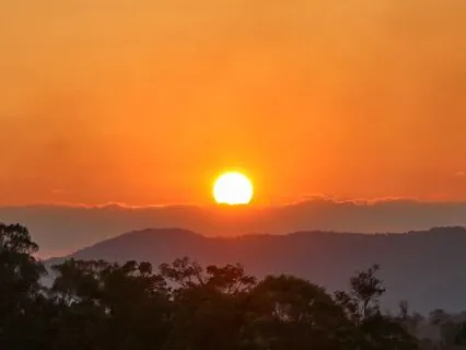 Imagining Your Tree Of Knowledge - Wisdom Meditation