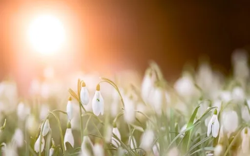 Imbolc Visualisation For Fresh Beginnings