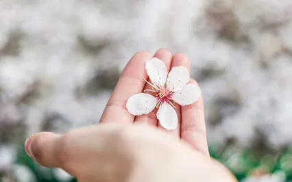 Imbratisarea compasiunii