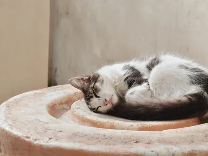 Imersão de Relaxamento