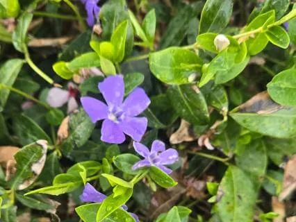 Immediacy - March 31st @ 8:10am