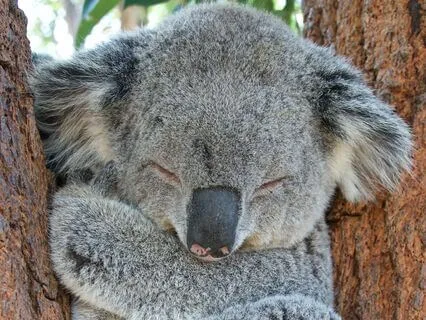 Guided Activity For Moments Of Intense Anxiety