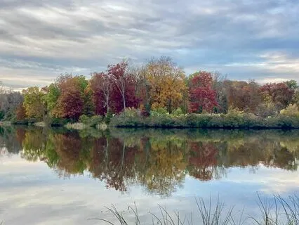 Immerse Me In  Your Presence