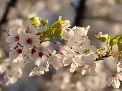 Immerse Yourself In Happiness