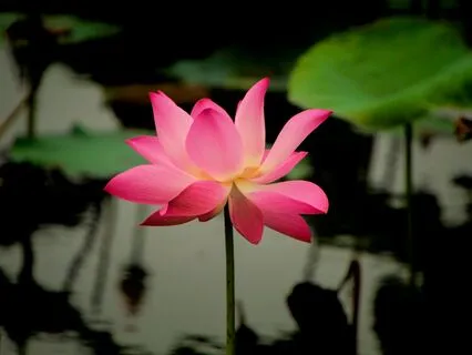 Immerse Yourself In Unbreakable Love For God