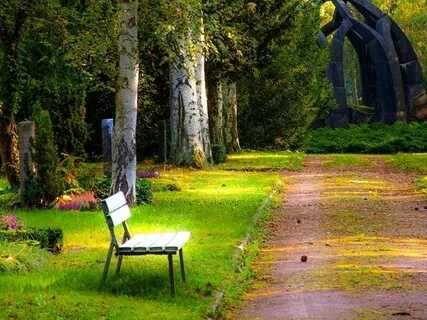 Immersion Into Silence 