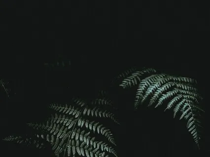 Immersive 3D Rain Sounds On Cabin (Wear Earbuds)