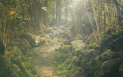 Immersive Mystical Sounds