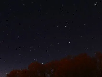 Immersive Nature Dreamscape