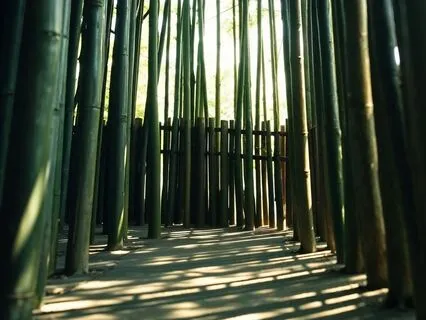 Immersive Ritual Breathwork With Ancestral Chants