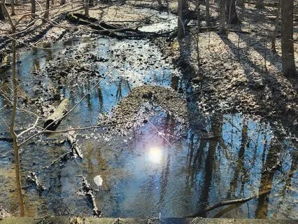 Immortality Or Do Not Stand At My Grave And Weep