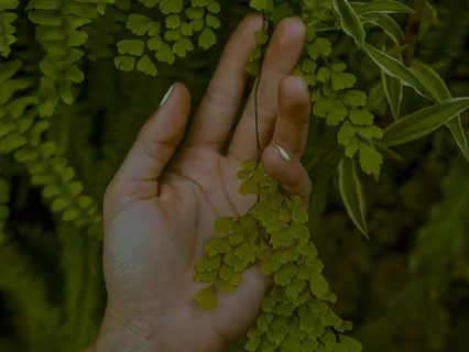 Immune System Support & Release Fear