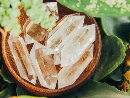 Immunity Boost - ACHF Transmission